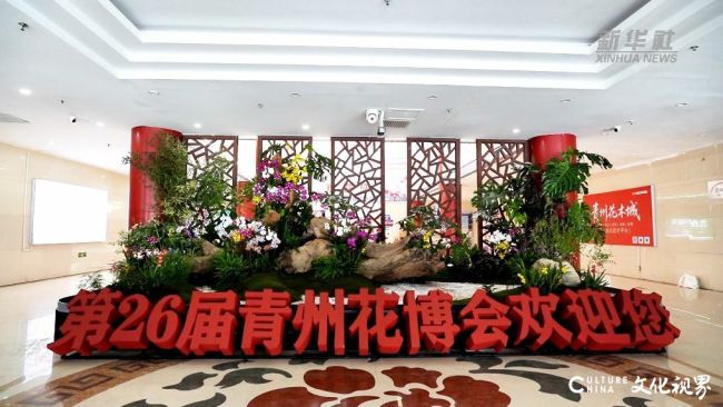 花在开,家在长,生活本该如此鲜活——潍坊恒信青州城市公司携“城市花园”亮相青州花博会