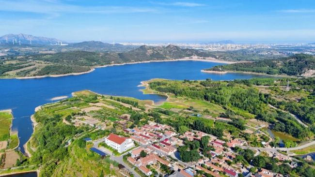 从“看风景”到“玩场景”,青岛西海岸新区两大乡村振兴片区激活假日经济新动能
