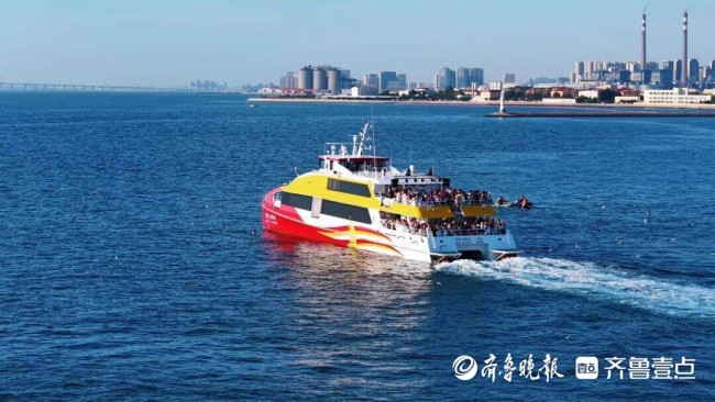 首破420万人次,提前80天超去年全年!青岛海上旅游创新高
