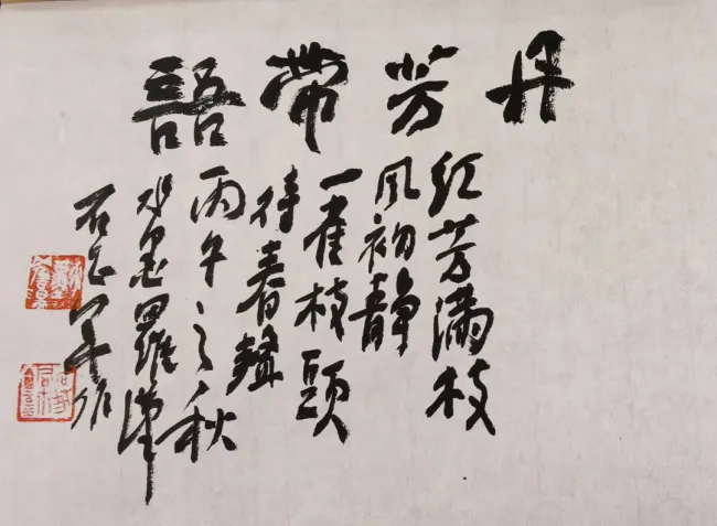 石正军·题款书法丨金石筑基、情趣润笔,一题一字间舒放自然