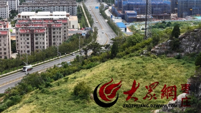 枣庄高新区:匠心织密生态绿网 生态廊道建设绘就“多彩森林”新画卷