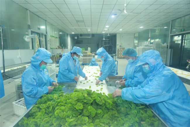 西安聚仙食品有限公司生产的猕猴桃果干