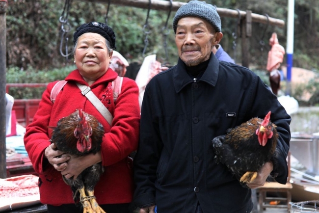 《赶集》临近春节，这老两口抱着自己养的土鸡去市场叫卖。陈晓琴摄于石泉熨斗镇.jpg