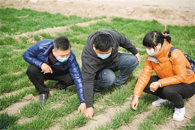 西安：让高质量春耕为全年粮食丰收打牢基础