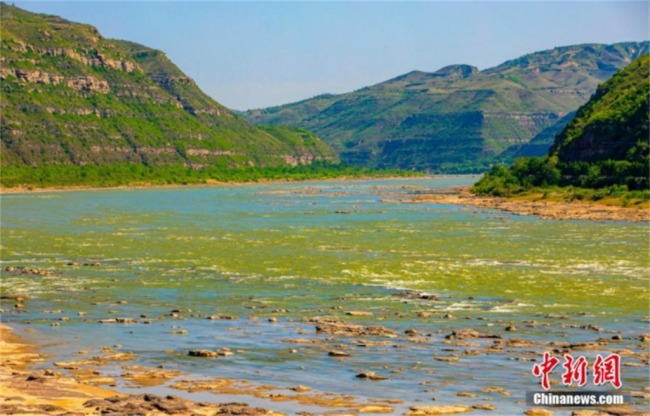 黄河壶口现“青山绿水”景观