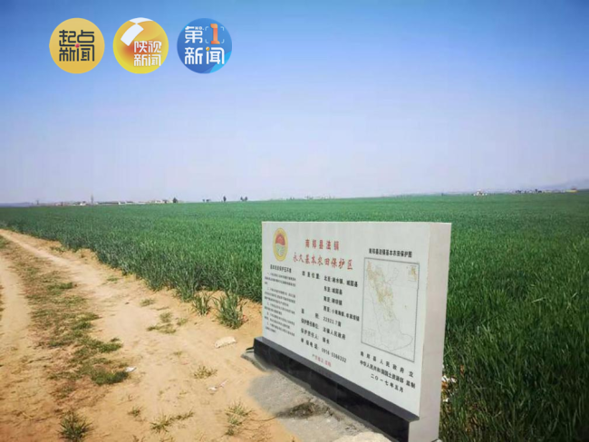 陕西1亿元激励100个耕地保护优秀乡镇
