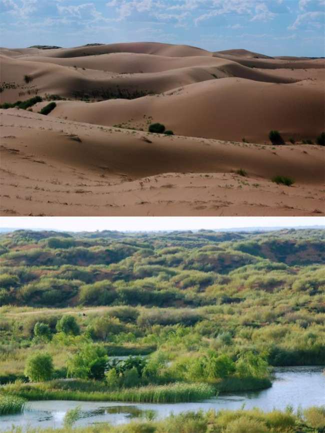 张应龙:用科技唤醒生态的自我生命力