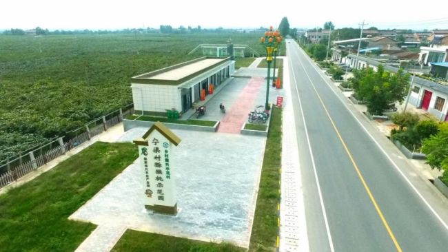  宝鸡眉县“五加六个三”绘出乡村振兴新图景