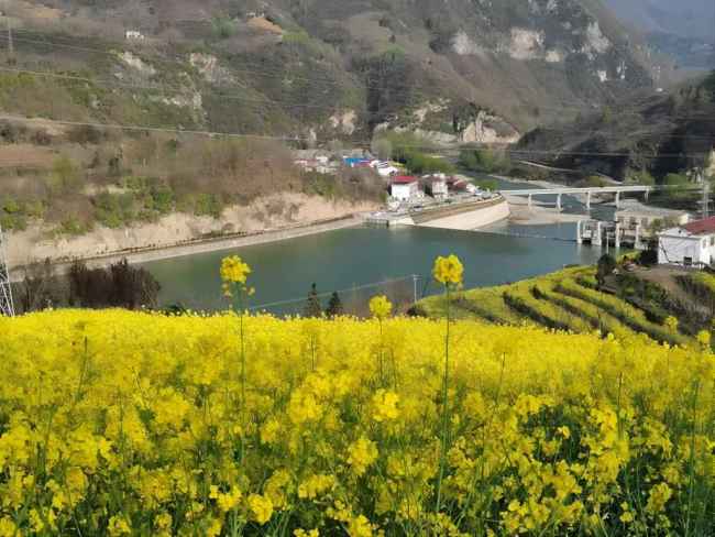 镇安：167个重点建设项目全面开工
