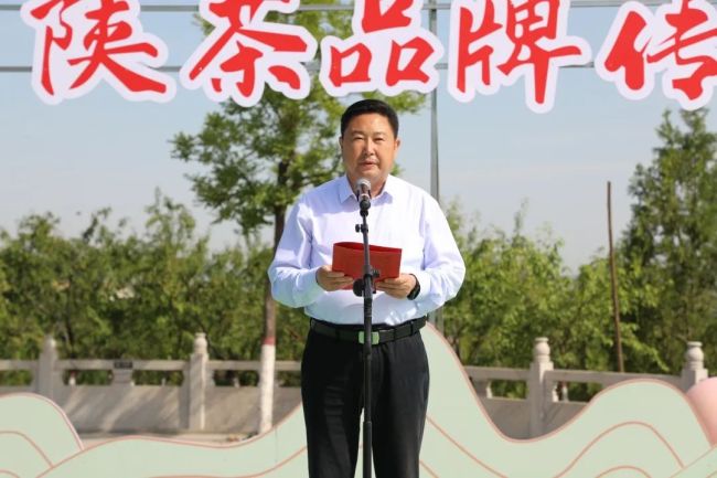 “延安枣芽茶”品牌发布推介会在中国红枣之乡举行