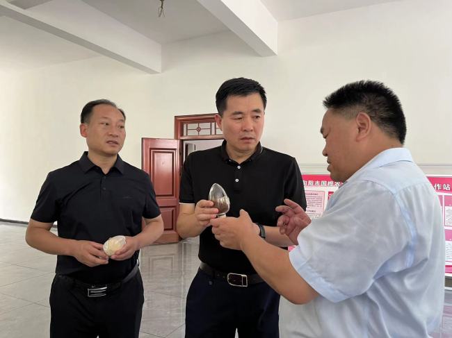 统战宣传基层行 | 旬阳国桦科技董事长周智国:“益农带农”模式助力乡村振兴