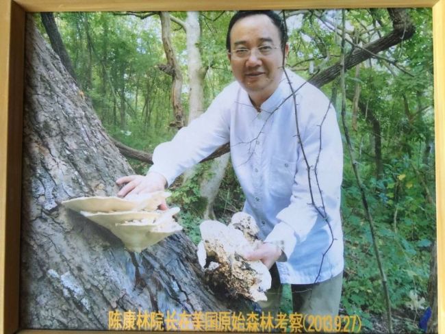 中国野生食药用真菌食疗专家陈康林将在“博鳌开讲”