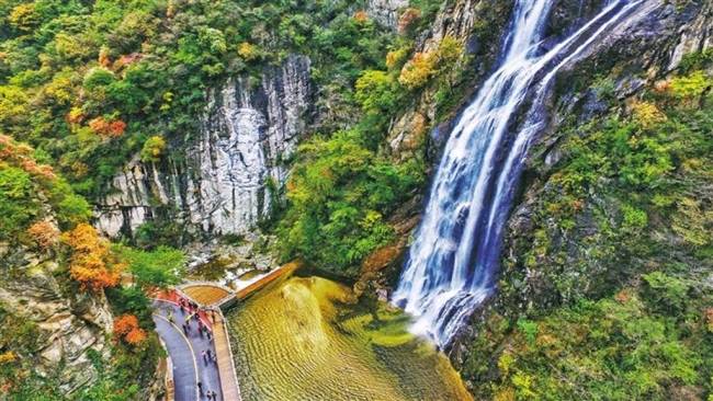 陕西高院：司法为青山绿水护航