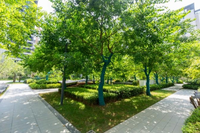 将心致新 | 中粮奥体壹号一期工地媒体开放活动圆满落幕