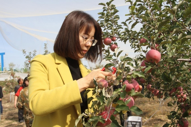 横山区赵石畔镇：绿水青山同奔赴