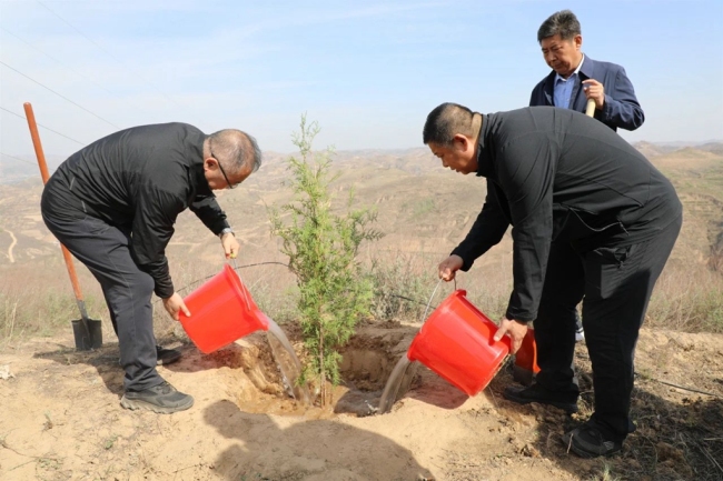 陕西绥德举行2024年全民义务植树暨春季造林绿化启动仪式
