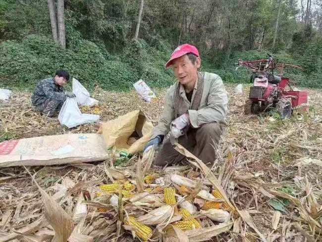 “这样的好女婿，打着灯笼都难找”铜川矿工张谦水先后收养照顾妻子家4口人