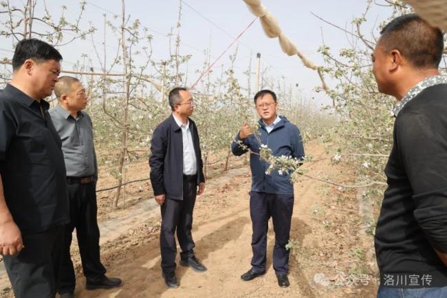 洛川县委书记张继东：完善长效培训机制，增强果农的实操能力