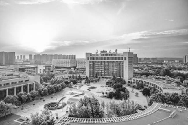 长安大学：党建引领聚合力 砥砺奋进铸辉煌