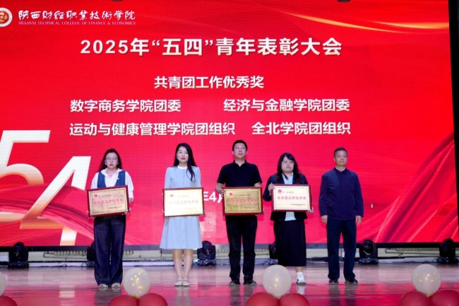 党委副书记朱华斌为荣获共青团工作优秀奖的基层团组织颁发奖牌