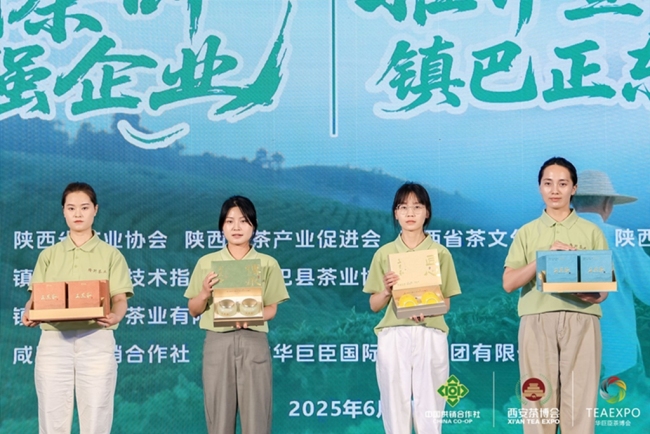 镇巴隆升茶业借第十九届西安茶博会推介“正东和”品牌