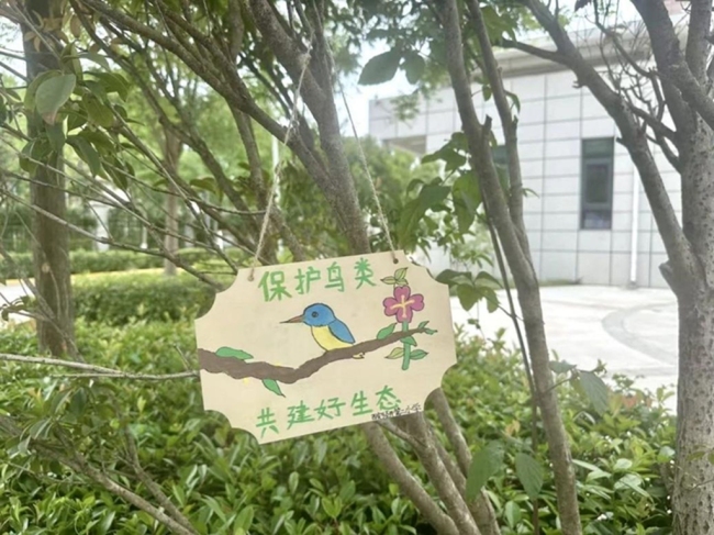 共筑生态家园，西安经开“爱鸟护鸟”主题教育活动进校园