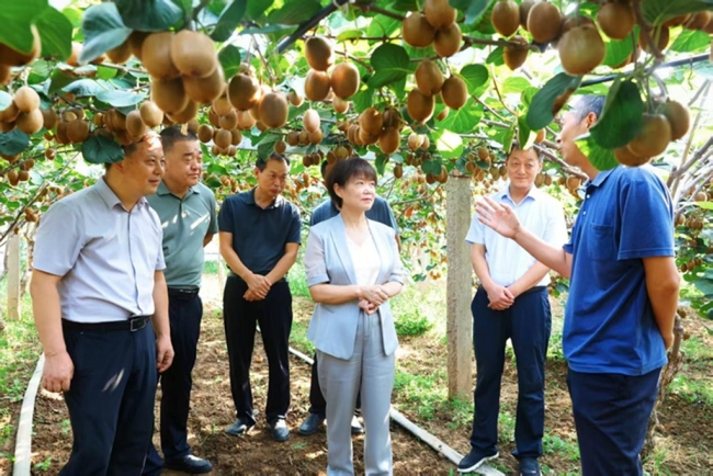 走进大美眉县：品美食、赏美景、感受大儒文化