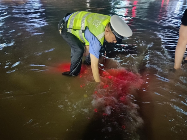 眉县交警：暴雨中的守护
