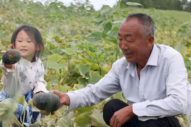  祭山梁村旱地贝贝南瓜，种出“甜蜜”好日子