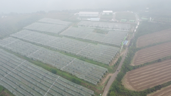 淳化瑞雪苹果试验示范站揭牌 着力打造全国瑞雪苹果示范基地