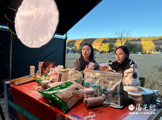 稻浪伴乐声 好物助振兴 榆阳区青云镇尤家湾兰若坊•柿子树下稻田音乐季燃动陕北深秋