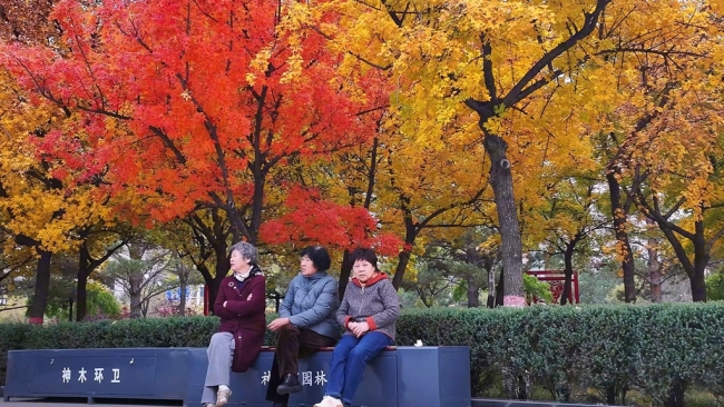 陕西神木滨河新区秋色如画 邂逅诗意生态美景