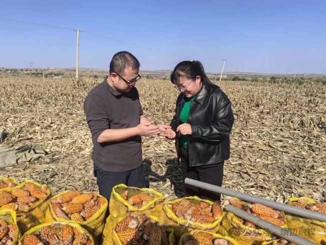 陕西靖边：守好农业“芯片” 端稳手中“饭碗”