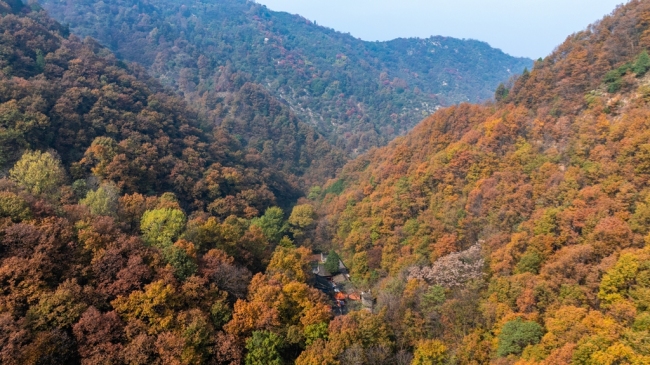 “瞰见秦岭 诗画终南”媒体景区行活动 邂逅南五台秋韵