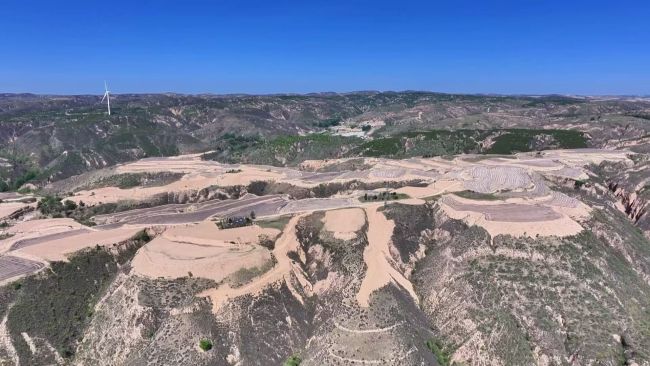 陕西府谷:“一地双收”结硕果 助农增收添活力