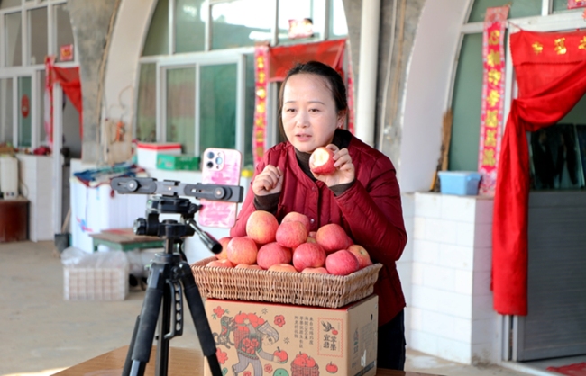 宜君“苹果姐”年销三千万的背后：从追流量到守源头