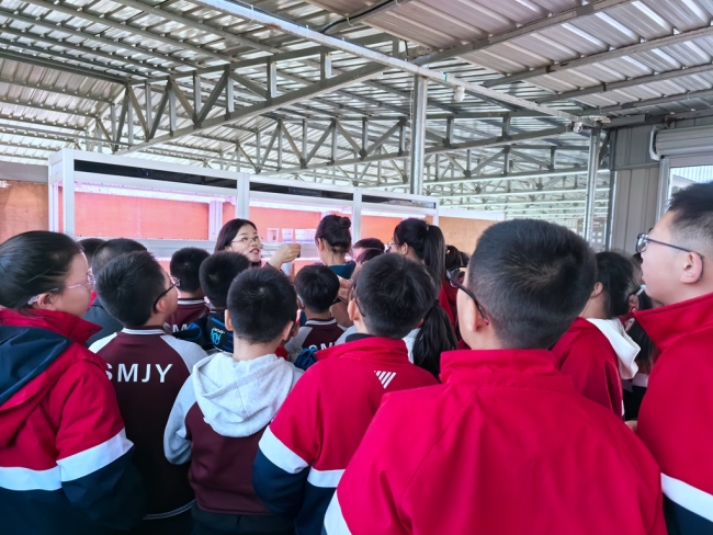 掰玉米、操控无人机——神木学子田间解锁“智慧农业”