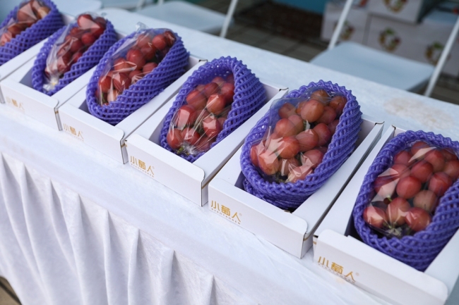 2025年富硒农产品博览会在陕西安康举行