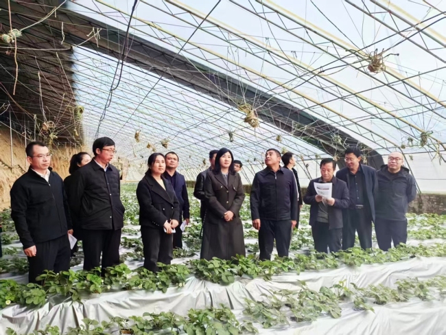 陕西佳县政协:“会场+现场”双向督办 让提案实效落地生根