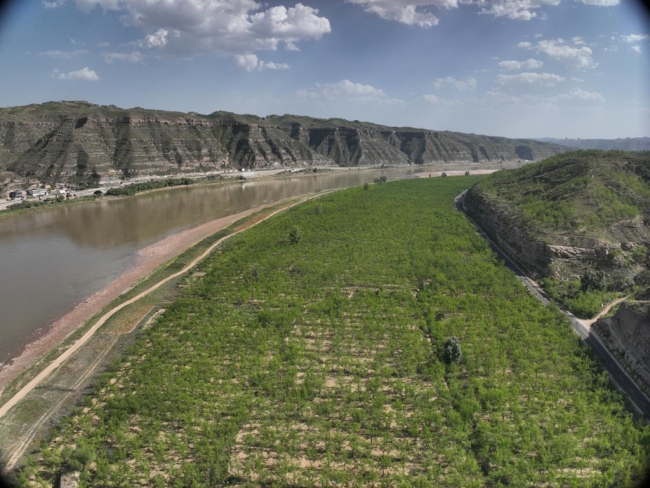 陕西佳县：千年枣乡焕新颜 红枣串起振兴链