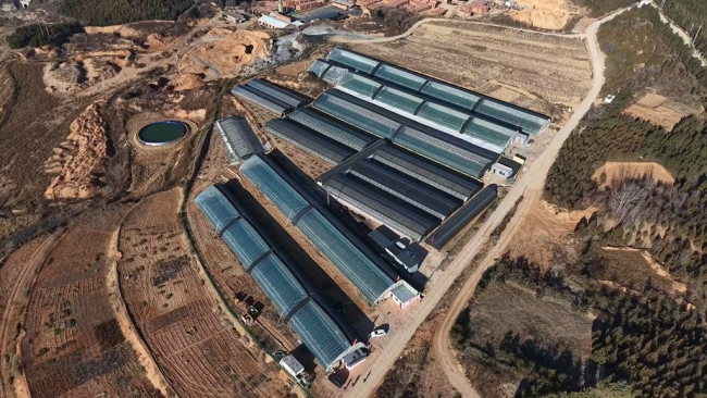 陕西神木：特色农产业激活乡村振兴新功