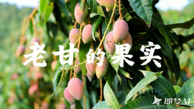 第八届中国-东盟大学生文化周在海南海口精彩落幕