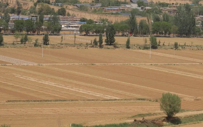 陕西府谷：“满格电” 助力高标准农田“交答卷”