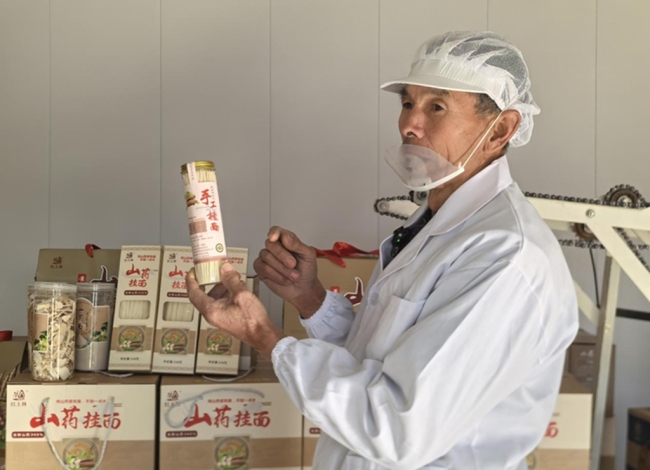 佳县山药采收忙 产业铺就致富路