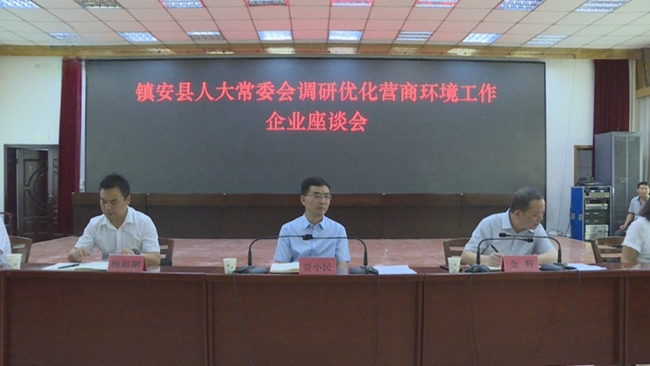 镇安人大助力“三个年”活动 持续强化营商环境监督