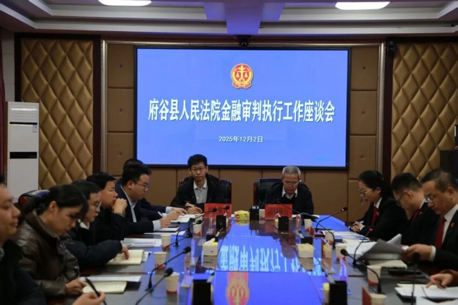 府谷法院召开金融审判执行工作座谈会