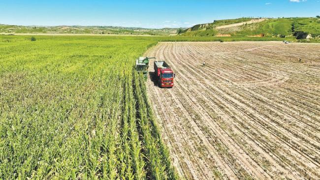 实干破局 创新领航 绿色铸魂——“十四五”时期府谷县经济社会高质量发展回眸