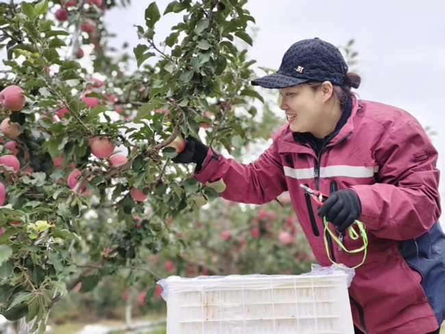 绥德：中央专项彩票公益金激活乡村振兴“一池春水”