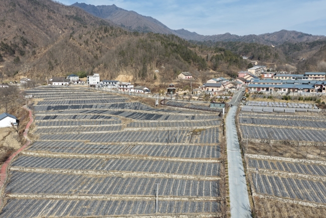 陕西下梁镇：产业兴 百姓富 乡村美