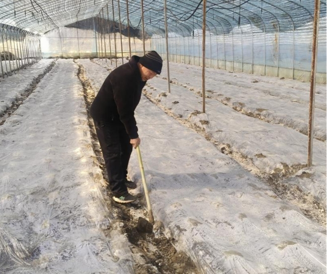 陕西白河：因地制宜育产业，跑出发展“加速度”